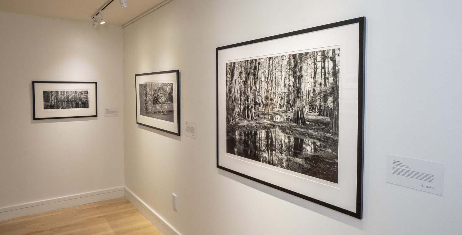Large scale black-and-white photographs of the Big Cypress Natural Reserve appear in “Clyde Butcher_ Lifeworks In Photography Exhibitions,” a retrospective exhibition at the Coral Springs Museum of Art (Phot copy